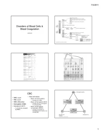 Disorders of Blood Cells &amp;  Blood Coagulation  g  HIHIM 409  CBC   Red cell indices   WBC