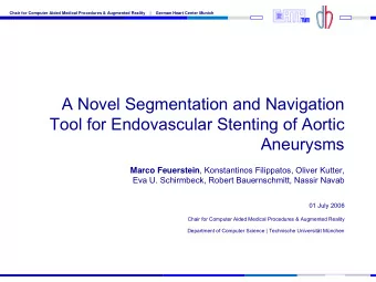 A Novel Segmentation and Navigation  Tool for Endovascular Stenting of Aortic  Aneurysms Marco