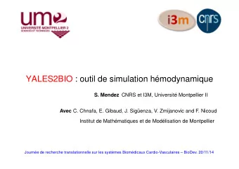 YALES2BIO : outil de simulation hmodynamique S. Mendez CNRS et I3M, Universit Montpellier II