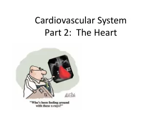 Cardiovascular System Part 2: The Heart The Heart  what it is  A muscular double pump each
