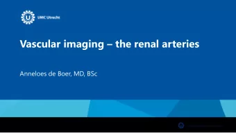 Vascular imaging  the renal arteries  Anneloes de Boer, MD, BSc  Clinical rationale