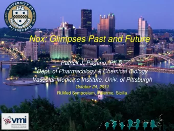 Nox: Glimpses Past and Future  Patrick J. Pagano, Ph.D.  Dept. of Pharmacology &amp; Chemical