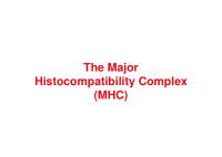 the major histocompatibility complex histocompatibility