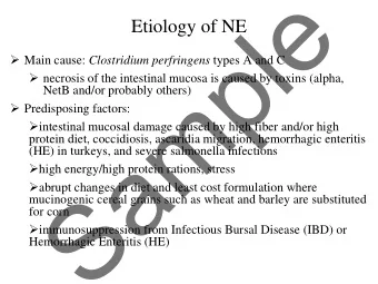 e  l  Etiology of NE  p  Main cause: Clostridium perfringens types A and C  necrosis of the