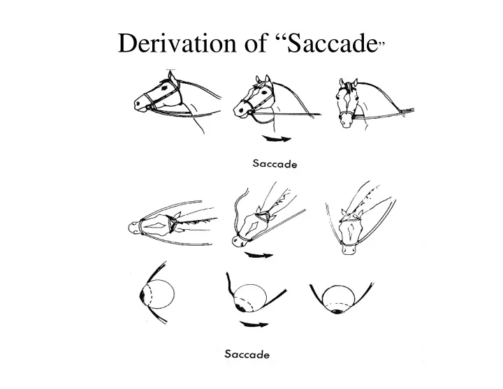 saccade tasks visual search saccades micro fixation