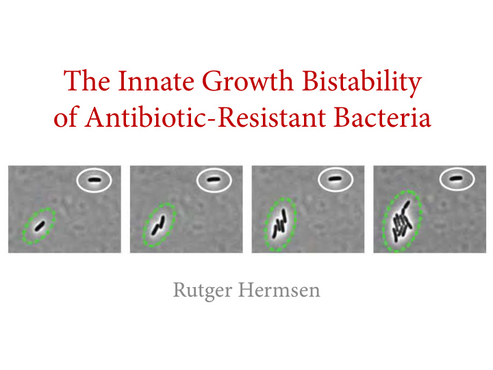 the innate growth bistability of antibiotic resistant