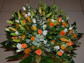 Ada Yonath  Weizmann Institute, Israel  Why X-ray crystallography?  Grown by Noa  Yonath Comarov 6