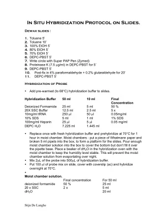 In Situ Hybridization Protocol on Slides.  Dewax slides : 1. Toluene 5 2. Toluene 10 3. 100%