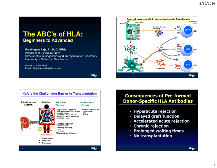 the abc s of hla