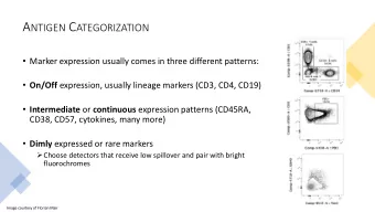 U SE THE SSM AND GATING TREE TO GUIDE ANTIBODY -  FLUOROCHROME PAIRINGS  Assign bright markers