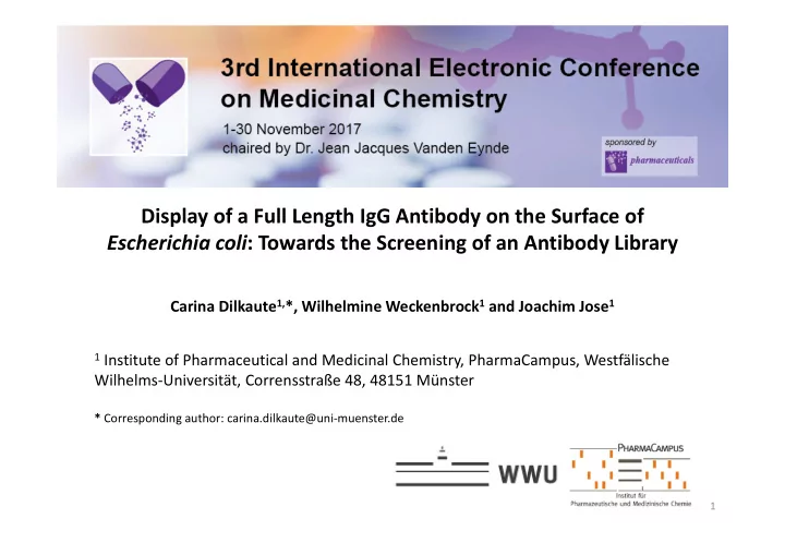 display of a full length igg antibody on the surface of