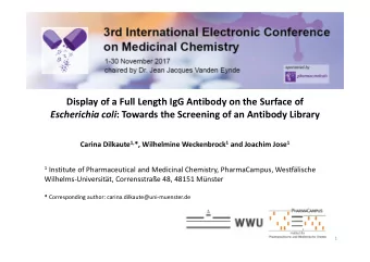 Display of a Full Length IgG Antibody on the Surface of Escherichia coli : Towards the Screening of