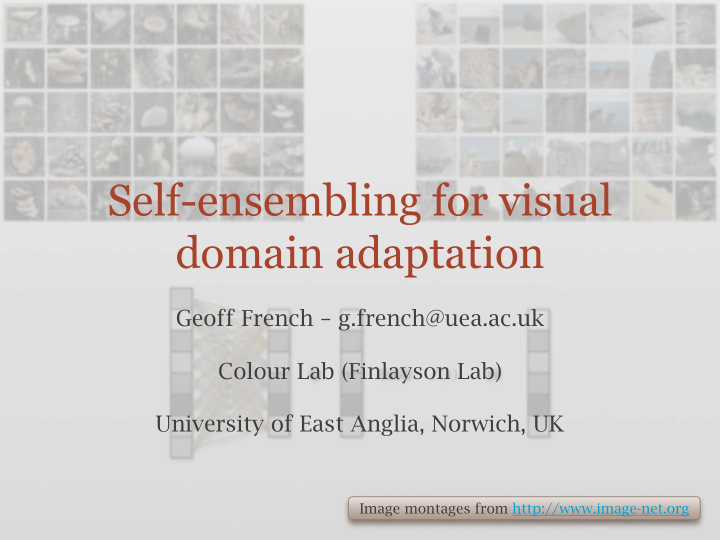 self ensembling for visual domain adaptation