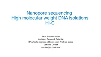 Nanopore sequencing  High molecular weight DNA isolations  Hi-C  Ruta Sahasrabudhe  Assistant