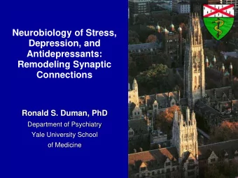Neurobiology of Stress,  Depression, and  Antidepressants:  Remodeling Synaptic  Connections