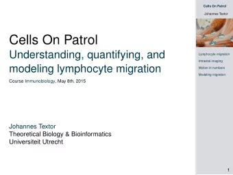Cells On Patrol  Understanding, quantifying, and  Lymphocyte migration  Intravital imaging
