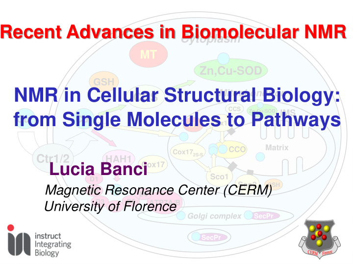 from single molecules to pathways