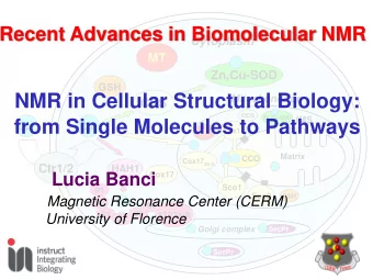 from Single Molecules to Pathways Cu + Cu +  Cox11  MT  Matrix  CCO Cox17 2S-S  Ctr1/2  HAH1  Cox17