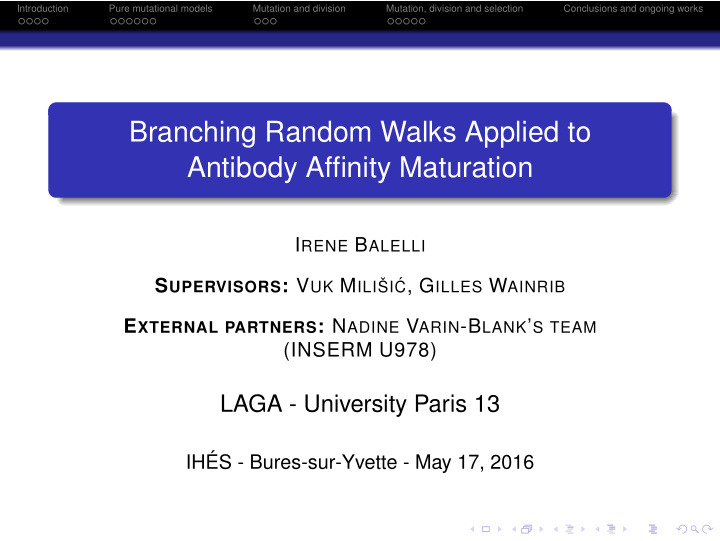 branching random walks applied to antibody affinity