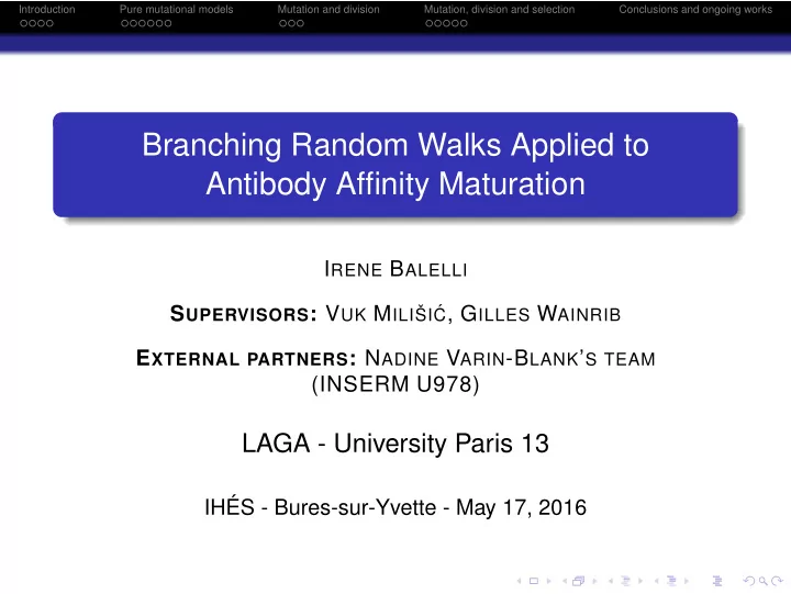 branching random walks applied to antibody affinity