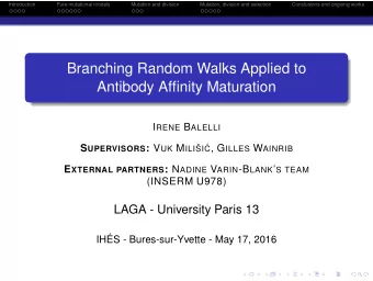 Branching Random Walks Applied to  Antibody Affinity Maturation I RENE B ALELLI S UPERVISORS : V UK