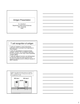 Antigen Presentation  K.J. Goodrum  Department of Biomedical Sciences  Ohio University  2005  T