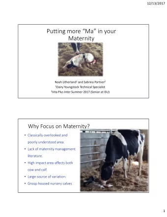 Putting more Ma in your  Maternity Noah Litherland 1 and Sabrina Portner 2 1 Dairy Youngstock