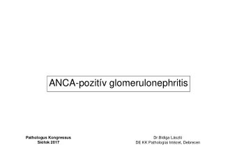 ANCA-pozitv glomerulonephritis  Pathologus Kongressus  Dr.Bidiga Lszl  Sifok 2017  DE KK
