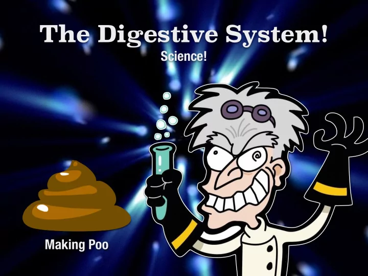 the digestive system