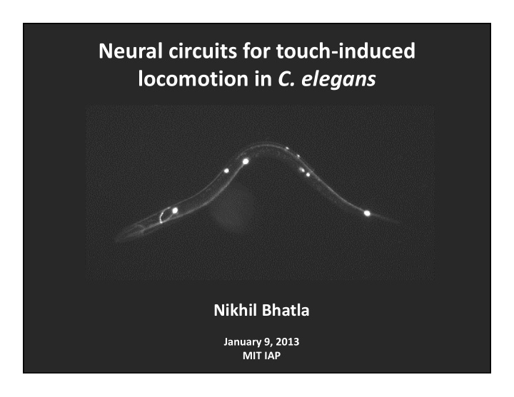 neural circuits for touch induced locomotion in c elegans