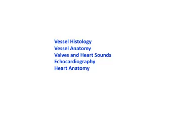 Vessel Histology  Vessel Anatomy  Valves and Heart Sounds  Echocardiography  Heart Anatomy  Success