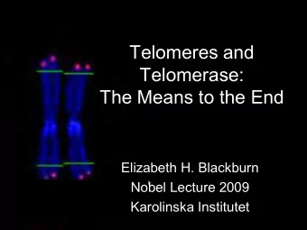 Telomeres and  Telomerase:  The Means to the End  Elizabeth H. Blackburn  Nobel Lecture 2009