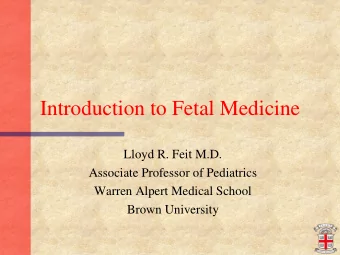 Introduction to Fetal Medicine  Lloyd R. Feit M.D.  Associate Professor of Pediatrics  Warren
