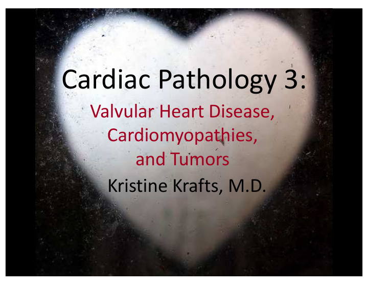 cardiac pathology 3