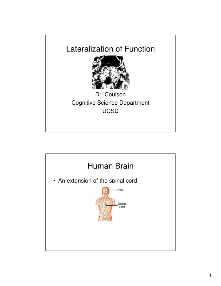 lateralization of function