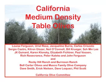 California  Medium Density  Table Olives  Louise Ferguson, Uriel Rosa, Jacqueline Burns, Carlos