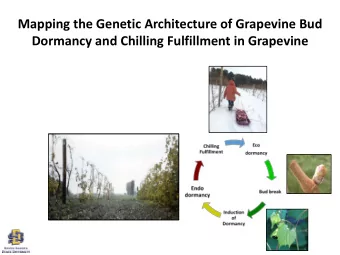 Dormancy and Chilling Fulfillment in Grapevine  Timing of dormancy induction and release are