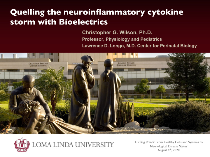 quelling the neuroinflammatory cytokine storm with