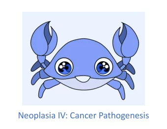 Neoplasia IV: Cancer Pathogenesis  Cancer Pathogenesis Lecture Objectives  Briefly answer, in