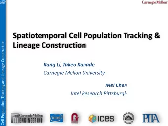 Spatiotemporal Cell Population Tracking &amp;  Cell Population Tracking and Lineage Construction