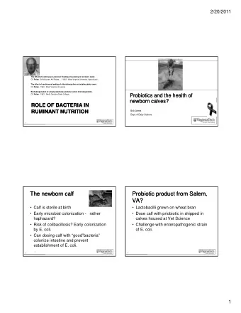 The newborn calf  The newborn calf  Probiotic product from Salem,  Probiotic product from Salem,