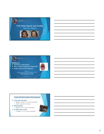 1  What does typical anatomy of the oral  structures look like?  Tensor veli  palatini  Tensor veli