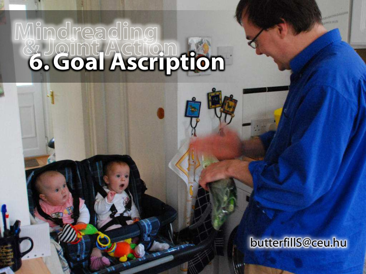 6 goal ascription
