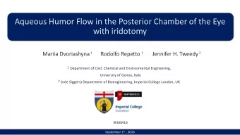 with iridotomy  Mariia Dvoriashyna  1  Rodolfo Repetto         Jennifer H. Tweedy  1  2  1