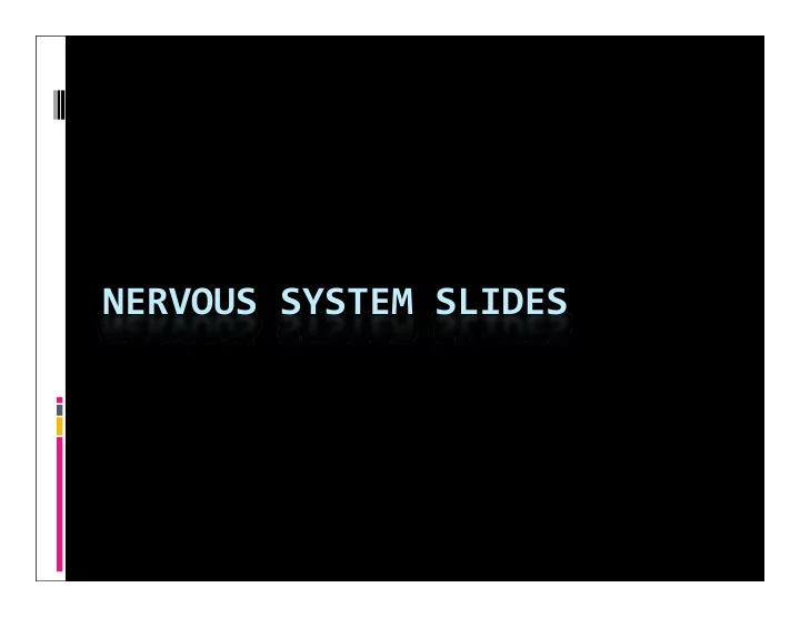 nervous system slides spinal cord xs spinal cord xs