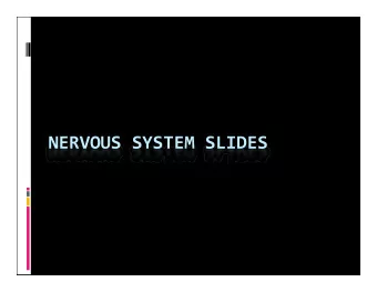 NERVOUS SYSTEM SLIDES Spinal Cord xs Spinal cord xs showing detail of gray and white  matter xs of
