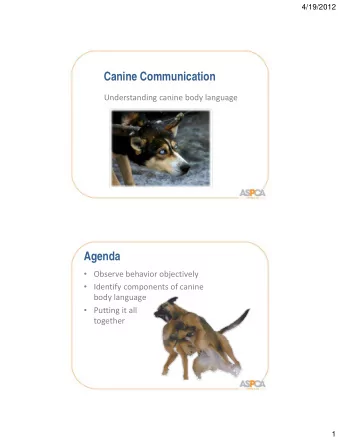 Canine Communication  Understanding canine body language Understanding canine body language  Agenda