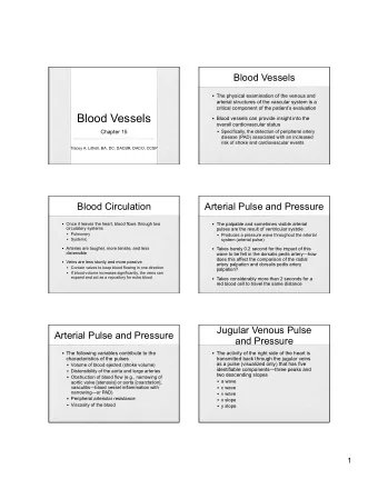 Venous Pulsations  Infants and Children   a wave  Cutting of umbilical cord necessitates