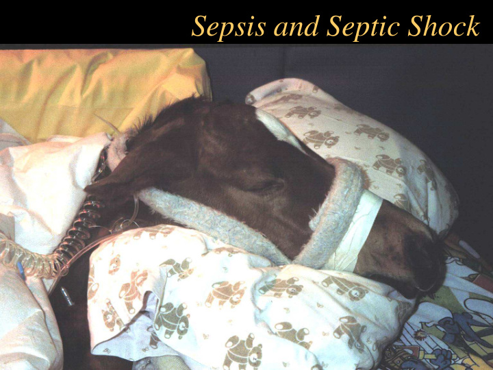 sepsis and septic shock sepsis and septic shock