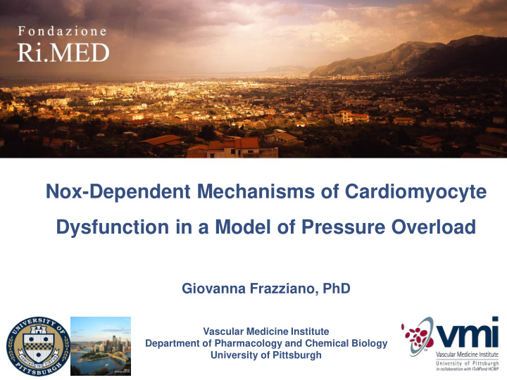 nox dependent mechanisms of cardiomyocyte